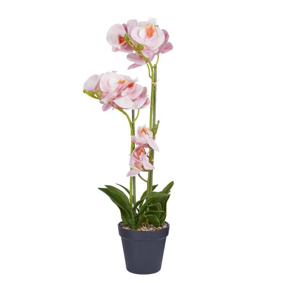 FLORISTA - ορχιδέα με γλαστράκι Υ51cm, ανοιχτό πορτοκαλί