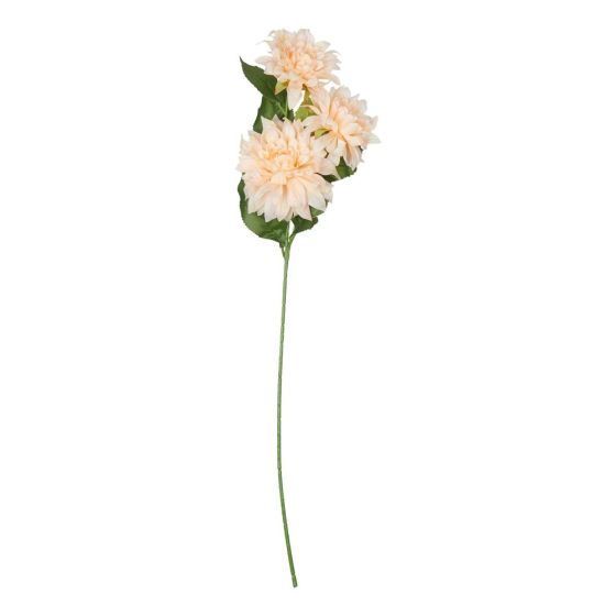 FLORISTA - ντάλια, ανοιχτό πορτοκαλί