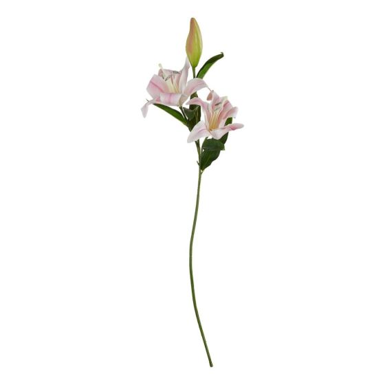 FLORISTA - κρίνος, ροζ