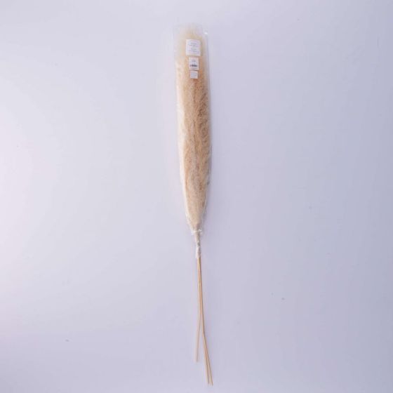 FLORISTA - Pampas γρασίδι 115cm 3τμχ