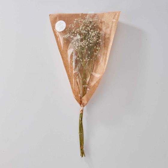 FLOWER MARKET - αποξηραμένη γυψοφίλη, λευκή