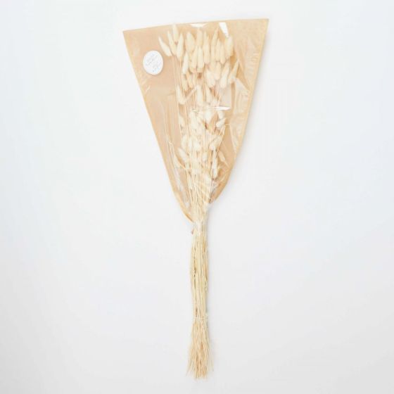 FLOWER MARKET - αποξηραμένο λευκασμένο γρασίδι