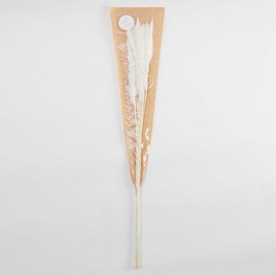 FLOWER MARKET - γρασίδι Pampas, κρεμ