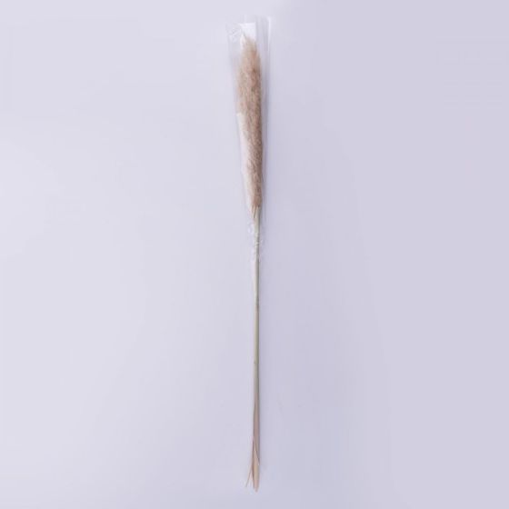 FLOWER MARKET - γρασίδι Pampas XL 150cm