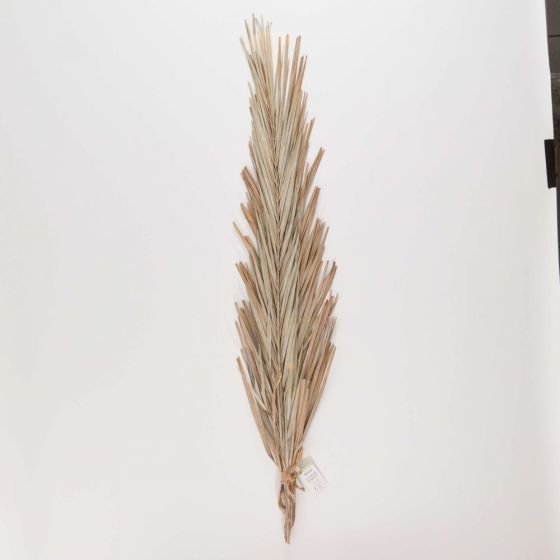 FLOWER MARKET - φύλλα Khajur 2 τεμάχια, ανοιχτό γκρι