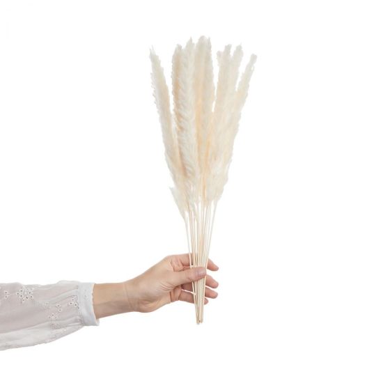 FLOWER MARKET - μπουκέτο pampas mini