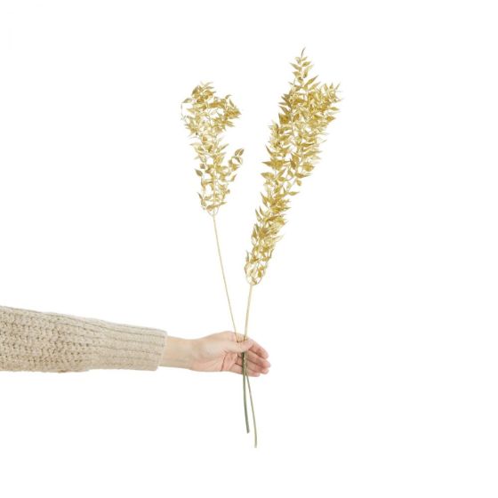 FLOWER MARKET - αποξηραμένη λαγομηλιά 70cm, χρυσή