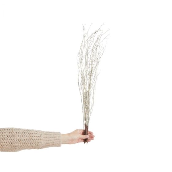 FLOWER MARKET - σημύδα αποξηραμένη 70cm, ασημί