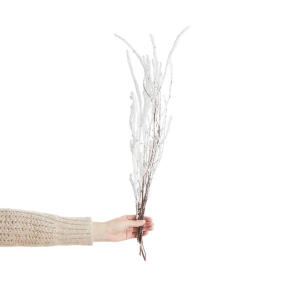 FLOWER MARKET - σημύδα αποξηραμένη 70cm, καλυμμένη με χιόνι