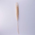 FLORISTA - Pampas γρασίδι 115cm 3τμχ