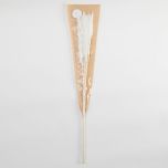 FLOWER MARKET - γρασίδι Pampas, κρεμ