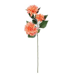 FLORISTA - ντάλια, πορτοκαλί