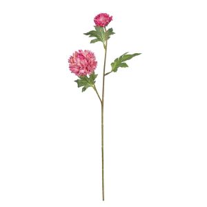 FLORISTA - χρυσάνθεμο, φούξια