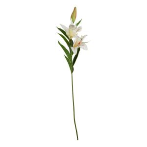 FLORISTA - κρίνος, λευκός