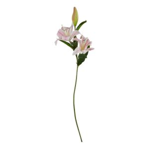 FLORISTA - κρίνος, ροζ
