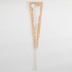 FLOWER MARKET - γρασίδι Pampas, κρεμ