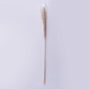 FLOWER MARKET - γρασίδι Pampas XL 150cm