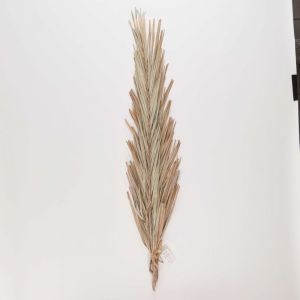 FLOWER MARKET - φύλλα Khajur 2 τεμάχια, ανοιχτό γκρι