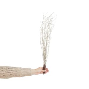 FLOWER MARKET - σημύδα αποξηραμένη 70cm, ασημί