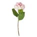 FLORISTA - ορτανσία 62cm, ροζ