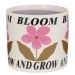 BLOOM & GROW - κασπό κεραμικό Δ17cm