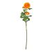 FLORISTA - νεραγκούλα 63cm, πορτοκαλί
