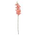 FLORISTA - γλαδιόλα 75cm, πορτοκαλί