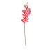 FLORISTA - γλαδιόλα 75cm, ροζ