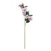 FLORISTA - ιπομοία 76cm, ανοιχτό ροζ