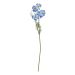 FLORISTA - galsang 78cm, μπλε