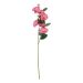 FLORISTA - ιπομοία 76cm, ροζ