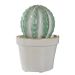 CACTUS - διακοσμητικό 'κάκτος', ανοιχτό πράσινο