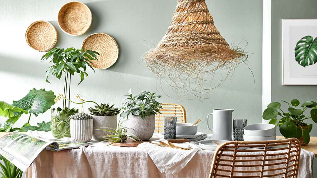 ΣΥΜΒΟΥΛΕΣ ΓΙΑ ΕΥΚΟΛΗ ΦΡΟΝΤΙΔΑ ΠΡΑΣΙΝΩΝ ΦΥΤΩΝ ΣΤΟ ΣΠΙΤΙ