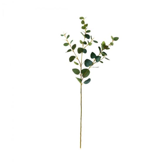 FLORISTA - ευκάλυπτος 70cm, πράσινο