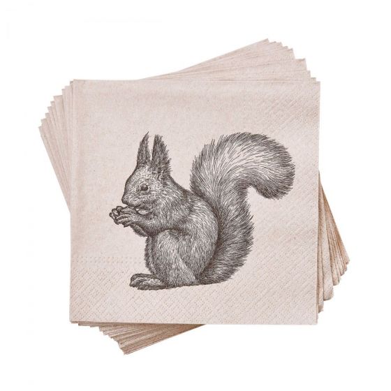 APRES - χαρτοπετσέτες "squirrel" recycling paper