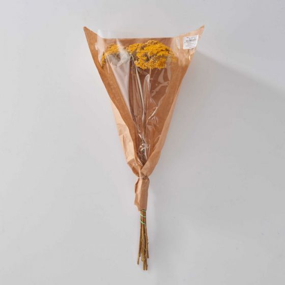 FLOWER MARKET - αποξηραμένο μυριόφυλλο, κίτρινο
