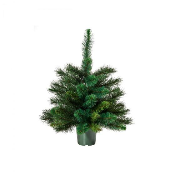 TREE OF THE MONTH - Χριστουγεννιάτικο δέντρο 60cm πράσινο