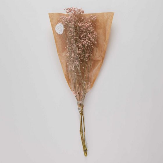FLOWER MARKET - αποξηραμένη γυψοφύλλη, ροζ