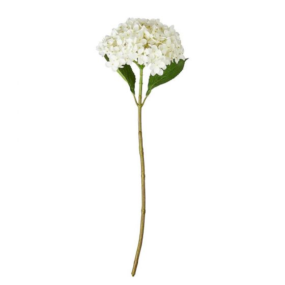 FLORISTA - ορτανσία 63cm, λευκή