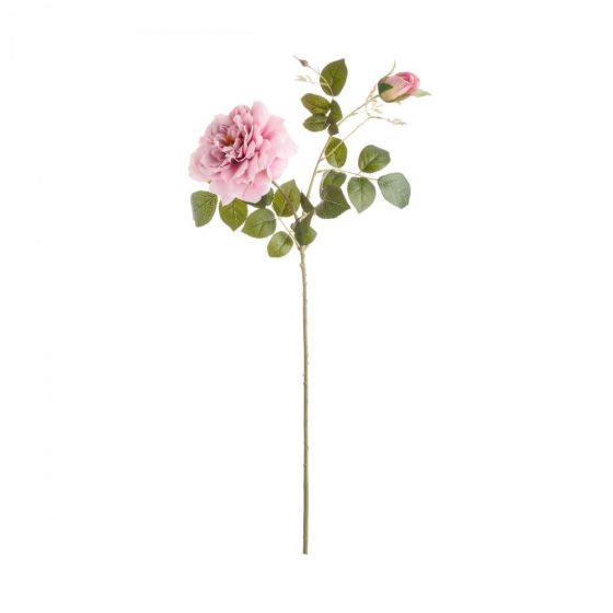 FLORISTA - ανοιχτό τριαντάφυλλο 79cm, μωβ