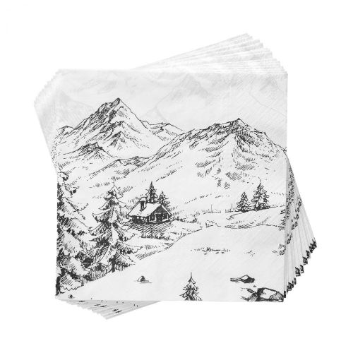APRES - χαρτοπετσέτες Alpin