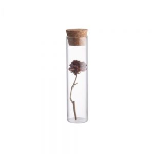 SHOWROOM - γυάλινο μπουκαλάκι με κάλυμμα από φελλό