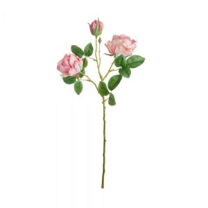 FLORISTA - κλαδί με τριαντάφυλλα, ανοιχτό ροζ