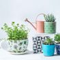 PLANT A CUP - κασπό "κούπα" Gardening