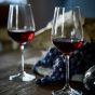 SANTE - ποτήρι για κόκκινο κρασί, 480ml