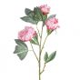 FLORISTA - παιώνια 90cm, ροζ