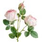 FLORISTA - κλαδί με τριαντάφυλλα, ανοιχτό ροζ